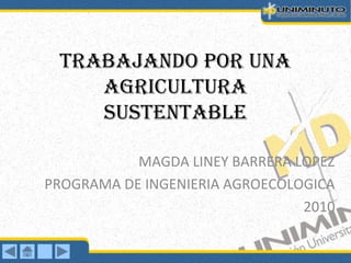 TRABAJANDO POR UNA
AGRICULTURA
SUSTENTABLE
MAGDA LINEY BARRERA LOPEZ
PROGRAMA DE INGENIERIA AGROECOLOGICA
2010
 