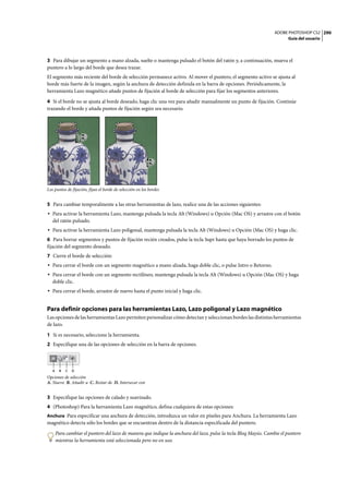 ADOBE PHOTOSHOP CS2 290
                                                                                                                        Guía del usuario




3 Para dibujar un segmento a mano alzada, suelte o mantenga pulsado el botón del ratón y, a continuación, mueva el
puntero a lo largo del borde que desea trazar.
El segmento más reciente del borde de selección permanece activo. Al mover el puntero, el segmento activo se ajusta al
borde más fuerte de la imagen, según la anchura de detección definida en la barra de opciones. Periódicamente, la
herramienta Lazo magnético añade puntos de fijación al borde de selección para fijar los segmentos anteriores.

4 Si el borde no se ajusta al borde deseado, haga clic una vez para añadir manualmente un punto de fijación. Continúe
trazando el borde y añada puntos de fijación según sea necesario.




Los puntos de fijación, fijan el borde de selección en los bordes


5 Para cambiar temporalmente a las otras herramientas de lazo, realice una de las acciones siguientes:
• Para activar la herramienta Lazo, mantenga pulsada la tecla Alt (Windows) u Opción (Mac OS) y arrastre con el botón
  del ratón pulsado.
• Para activar la herramienta Lazo poligonal, mantenga pulsada la tecla Alt (Windows) u Opción (Mac OS) y haga clic.
6 Para borrar segmentos y puntos de fijación recién creados, pulse la tecla Supr hasta que haya borrado los puntos de
fijación del segmento deseado.
7 Cierre el borde de selección:
• Para cerrar el borde con un segmento magnético a mano alzada, haga doble clic, o pulse Intro o Retorno.
• Para cerrar el borde con un segmento rectilíneo, mantenga pulsada la tecla Alt (Windows) u Opción (Mac OS) y haga
  doble clic.
• Para cerrar el borde, arrastre de nuevo hasta el punto inicial y haga clic.


Para definir opciones para las herramientas Lazo, Lazo poligonal y Lazo magnético
Las opciones de las herramientas Lazo permiten personalizar cómo detectan y seleccionan bordes las distintas herramientas
de lazo.

1 Si es necesario, seleccione la herramienta.
2 Especifique una de las opciones de selección en la barra de opciones.



   A    B   C   D
Opciones de selección
A. Nuevo B. Añadir a C. Restar de D. Intersecar con


3 Especifique las opciones de calado y suavizado.
4 (Photoshop) Para la herramienta Lazo magnético, defina cualquiera de estas opciones:
Anchura Para especificar una anchura de detección, introduzca un valor en píxeles para Anchura. La herramienta Lazo
magnético detecta sólo los bordes que se encuentran dentro de la distancia especificada del puntero.

       Para cambiar el puntero del lazo de manera que indique la anchura del lazo, pulse la tecla Bloq Mayús. Cambie el puntero
       mientras la herramienta está seleccionada pero no en uso.
 