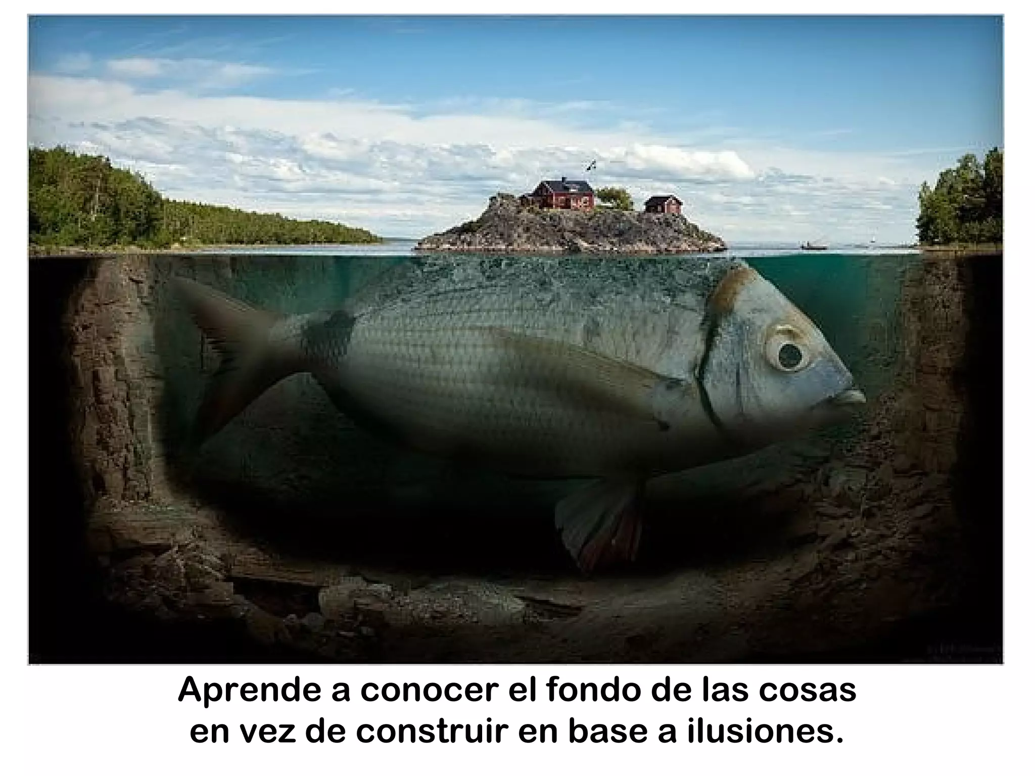 Aprende a conocer el fondo de las cosas
en vez de construir en base a ilusiones.
 