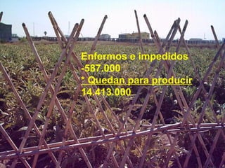 Enfermos e impedidos  -587.000  * Quedan para producir   14.413.000   