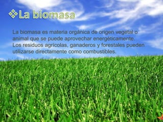 La biomasa es materia orgánica de origen vegetal o
animal que se puede aprovechar energéticamente.
Los residuos agrícolas, ganaderos y forestales pueden
utilizarse directamente como combustibles.
 