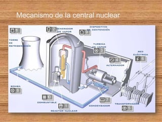 Mecanismo de la central nuclear
 
