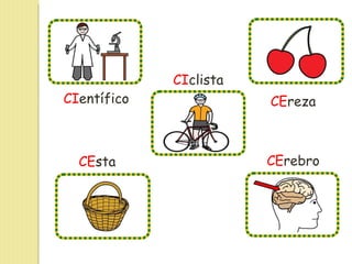 CI entífico CE reza CI clista CE sta CE rebro 