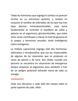 Todas las hormonas que segrega la corteza se parecen
mucho en su estructura química, y reciben en
conjunto el nombre de esferoides de los que hay tres
tipos básicos: mineralocorticoides, cuya tarea
fundamental es controlar el equilibrio de sodio y
potasio en el organismo; glucocorticoides, que entre
otras cosas contribuyen a elevar el nivel de glucosa en
la sangre, y hormonas sexuales, tanto andrógenos
como estrógenos.
La médula suprarrenal segrega sólo dos hormonas:
adrenalina y noradrenalina, que son las responsables
de algunas de las reacciones que se producen en
casos de pánico y de furia. Son vitales cuando una
persona se encuentra en situaciones de emergencia
porque preparan al organismo para combatir o huir
de un peligro potencial echando mano de toda su
energía.
Localización:
Cada una descansa a cada lado del cuerpo sobre la
parte superior de cada riñón.
 