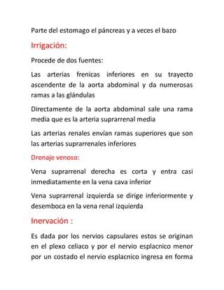 Parte del estomago el páncreas y a veces el bazo
Irrigación:
Procede de dos fuentes:
Las arterias frenicas inferiores en su trayecto
ascendente de la aorta abdominal y da numerosas
ramas a las glándulas
Directamente de la aorta abdominal sale una rama
media que es la arteria suprarrenal media
Las arterias renales envían ramas superiores que son
las arterias suprarrenales inferiores
Drenaje venoso:
Vena suprarrenal derecha es corta y entra casi
inmediatamente en la vena cava inferior
Vena suprarrenal izquierda se dirige inferiormente y
desemboca en la vena renal izquierda
Inervación :
Es dada por los nervios capsulares estos se originan
en el plexo celiaco y por el nervio esplacnico menor
por un costado el nervio esplacnico ingresa en forma
 