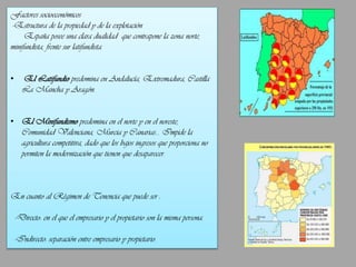 Factores socioeconómicos
-Estructura de la propiedad y de la explotación
España posee una clara dualidad que contrapone la zona norte,
minifundista, frente sur latifundista.
•

El Latifundio predomina en Andalucía, Extremadura, Castilla
La Mancha y Aragón.

• El Minifundismo predomina en el norte y en el noreste,
Comunidad Valenciana, Murcia y Canarias… Impide la
agricultura competitiva, dado que los bajos ingresos que proporciona no
permiten la modernización que tienen que desaparecer.

En cuanto al Régimen de Tenencia que puede ser :
-Directo: en el que el empresario y el propietario son la misma persona.
-Indirecto: separación entre empresario y propietario.

 