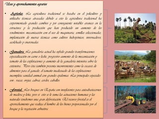 Usos y aprovechamientos agrarios
•

Agrícolas. La agricultura tradicional se basaba en el policultivo y
utilizaba técnicas atrasadas debido a esto la agricultura tradicional ha
experimentado grandes cambios y por consiguiente notables avances en la
estructura y la producción que han producido un aumento de los
rendimientos: mecanización con el uso de maquinaria, semillas seleccionadas,
implantación de nuevas técnicas como cultivos hidropónicos, invernaderos,
acolchado y enarenadas.

• Ganadera. La ganadería actual ha sufrido grandes transformaciones:
especialización en carne o leche, progresivo aumento de la mecanización y
tamaño de las explotaciones y aumento de la ganadería intensiva sobre la
extensiva.. Pero ésta también presenta inconvenientes como la escasez de
alimentos para el ganado, el tamaño inadecuado de las explotaciones
incompleta sanidad animal con grandes epidemias. Las principales especiales
son : vacas, ovejas, cabras, cerdos, caballos.

• Forestal.. Los bosques en España son insuficientes para autoabastecernos
de madera y leña, pero si esto se le suma las actuaciones humanas y las
naturales tendremos una gran deforestación, El recurso forestal es el
aprovechamiento que realiza el hombre de los bienes proporcionados por el
bosque y la vegetación arbustiva.

 