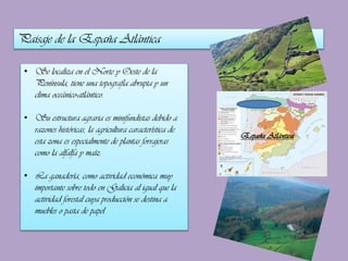 Paisaje de la España Atlántica
• Se localiza en el Norte y Oeste de la
Península, tiene una topografía abrupta y un
clima oceánico-atlántico.
• Su estructura agraria es minifundistas debido a
razones históricas, la agricultura característica de
esta zona es especialmente de plantas forrajeras
como la alfalfa y maíz.
• La ganadería, como actividad económica muy
importante sobre todo en Galicia al igual que la
actividad forestal cuya producción se destina a
muebles o pasta de papel

España Atlántica

 