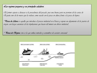 Las regiones pesqueras y sus principales caladeros.
El primer aspecto a destacar es la procedencia del pescado, pues una buena parte no proviene de las costas de
España sino de los mares que la rodean, como sucede con la pesca en altura frente a la pesca de bajura.
*Pesca de Altura es aquella que introduce el proceso industrial en el barco y supone un alejamiento de los puertos de
origen, con largas ausencias de las tripulaciones que hacen del minero un obrero industrial.
* Pesca de Bajura, ésta es la que utiliza métodos y costumbres de carácter artesanal.

 