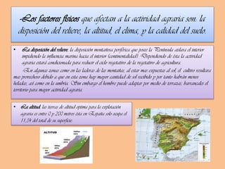 -Los factores físicos que afectan a la actividad agraria son: la
disposición del relieve, la altitud, el clima, y la calidad del suelo.
•

La disposición del relieve, la disposición montañosa periférica que posee la Península aislara el interior
impidiendo la influencia marina hacia el interior (continentalidad). Dependiendo de ésta la actividad
agraria estará condicionada para reducir el ciclo vegetativo de la vegetativo de agricultura.
-En algunas zonas como en las laderas de las montañas, al estar mas expuestas al sol, el cultivo resultara
mas provechoso debido a que en esta zona hay mayor cantidad de sol recibido y por tanto habrán menos
heladas, así como en la umbría. Sin embargo el hombre puede adaptar por medio de terrazas, barrancales el
territorio para mayor actividad agraria.
• La altitud, las tierras de altitud optima para la explotación
agraria es entre 0 y 200 metros ésta en España solo ocupa el
11,34 del total de su superficie.

 