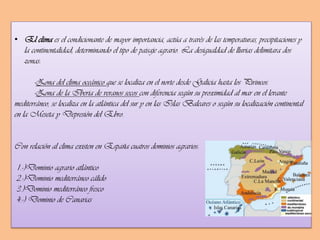 • El clima es el condicionante de mayor importancia, actúa a través de las temperaturas, precipitaciones y
la continentalidad; determinando el tipo de paisaje agrario. La desigualdad de lluvias delimitara dos
zonas:
-Zona del clima oceánico que se localiza en el norte desde Galicia hasta los Pirineos.
-Zona de la Iberia de veranos secos con diferencia según su proximidad al mar en el levante
mediterráneo, se localiza en la atlántica del sur y en las Islas Baleares o según su localización continental
en la Meseta y Depresión del Ebro.
Con relación al clima existen en España cuatros dominios agrarios:
1.-)Dominio agrario atlántico
2.-)Dominio mediterráneo cálido
3.)Dominio mediterráneo fresco
4.-) Dominio de Canarias

 