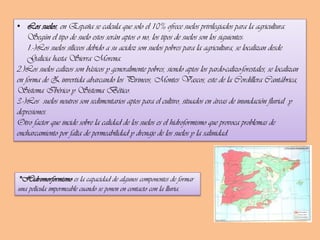 • Los suelos, en España se calcula que solo el 10% ofrece suelos privilegiados para la agricultura.
Según el tipo de suelo estos serán aptos o no, los tipos de suelos son los siguientes:
1.-)Los suelos silíceos debido a su acidez son suelos pobres para la agricultura, se localizan desde
Galicia hasta Sierra Morena.
2.)Los suelos calizos son básicos y generalmente pobres, siendo aptos los pardo-calizo-forestales, se localizan
en forma de Z invertida abarcando los Pirineos, Montes Vascos, este de la Cordillera Cantábrica,
Sistema Ibérico y Sistema Bético.
3.-)Los suelos neutros son sedimentarios aptos para el cultivo, situados en áreas de inundación fluvial y
depresiones.
Otro factor que incide sobre la calidad de los suelos es el hidroformismo que provoca problemas de
encharcamiento por falta de permeabilidad y drenaje de los suelos y la salinidad.

*Hidromorformismo es la capacidad de algunos componentes de formar
una película impermeable cuando se ponen en contacto con la lluvia.

 