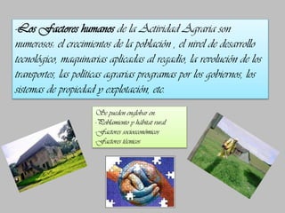 -Los Factores humanos de la Actividad Agraria son
numerosos: el crecimientos de la población , el nivel de desarrollo
tecnológico, maquinarias aplicadas al regadío, la revolución de los
transportes, las políticas agrarias programas por los gobiernos, los
sistemas de propiedad y explotación, etc.
Se pueden englobar en:
-Poblamiento y hábitat rural
-Factores socioeconómicos
-Factores técnicos

 