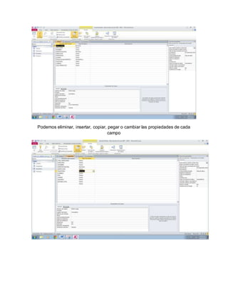 Podemos eliminar, insertar, copiar, pegar o cambiar las propiedades de cada 
campo 
 