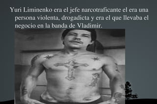 Yuri Liminenko era el jefe narcotraficante el era una 
 persona violenta, drogadicta y era el que llevaba el 
 negocio en la banda de Vladimir.




                     
 