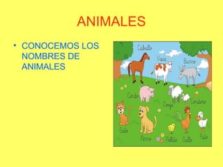 ANIMALES
• CONOCEMOS LOS
NOMBRES DE
ANIMALES
 