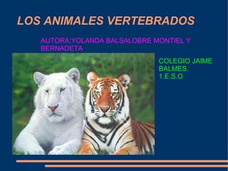 LOS ANIMALES VERTEBRADOS AUTORA:YOLANDA BALSALOBRE MONTIEL Y BERNADETA COLEGIO JAIME BALMES. 1.E.S.O 