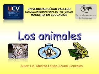 Los animales Autor: Lic. Maritza Leticia Acuña Gonzáles UNIVERSIDAD CÉSAR VALLEJO ESCUELA INTERNACIONAL DE POSTGRADO MAESTRIA EN EDUCACIÓN 