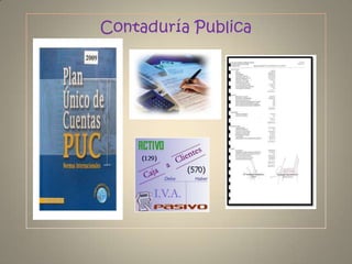 Contaduría Publica 