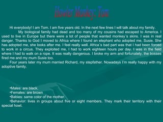 Howler Monkey: Tom Hi everybody! I am Tom. I am five years old. In the next few lines I will talk about my family. My biological family had dead and too many of my cousins had escaped to America. I used to live in Europe but there were a lot of people that wanted monkey´s skins. I was in real danger. Thanks to God I moved to Africa where I found an elephant who adopted me, Susie. She has adopted me, she looks after me. I feel really well. Africa´s bad part was that I had been forced to work in a circus. They exploited me, I had to work eighteen hours per day. I was in the field where I had to walk on a rope. It was really dangerous. I broke my arm and fortunately, the bosses fired me and my mum Susie too. Four years later my mum married Richard, my stepfather. Nowadays I’m really happy with my adoptive family. Males: are black. Females: are brown Babies: same color of the mother. Behavior: lives in groups about five or eight members. They mark their territory with their special howl. 