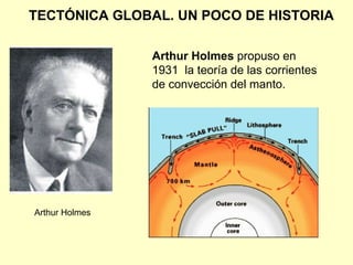 TECTÓNICA GLOBAL. UN POCO DE HISTORIA Arthur Holmes  propuso en 1931  la teoría de las corrientes de convección del manto. Arthur Holmes 