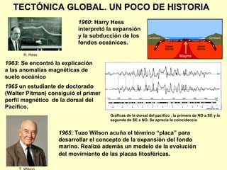 TECTÓNICA GLOBAL. UN POCO DE HISTORIA 1965 : Tuzo Wilson acuña el término “placa”  para desarrollar el concepto de la expansión del fondo marino. R ealizó además un modelo de la evolución del movimiento de las placas litosféricas .  1965  un estudiante de doctorado (Walter Pitman) consiguió el primer perfil magnético  de la dorsal del Pacífico. 1960 : Harry Hess interpretó la expansión y la subducción de los fondos oceánicos. Gráficas de la dorsal del pacífico , la primera de NO a SE y la segunda de SE a NO. Se aprecia la coincidencia 1963 : Se encontró la explicación a las anomalías magnéticas de suelo oceánico H. Hess T. Wilson 