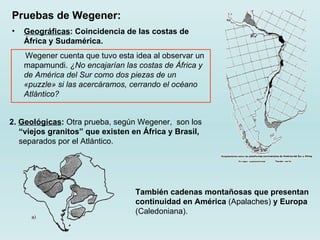 Pruebas de Wegener: Geográficas : Coincidencia de las costas de África y Sudamérica.  Wegener  cuenta que tuvo esta idea al observar un mapamundi.  ¿No encajarían las costas de África y de América del Sur como dos piezas de un «puzzle» si las acercáramos, cerrando el océano Atlántico?  2.  Geológicas :  Otra prueba, según Wegener,  son los  “viejos granitos” que existen en África y Brasil,  separados por el Atlántico.  También cadenas montañosas que presentan continuidad en América  (Apalaches)  y Europa  (Caledoniana).  