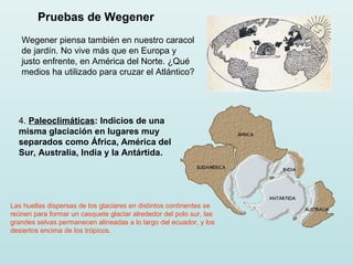 Pruebas de Wegener 4.  Paleoclimáticas :  Indicios de una misma glaciación en lugares muy separados como África, América del Sur, Australia, India y la Antártida.   Las huellas dispersas de los glaciares en distintos continentes se reúnen para formar un casquete glaciar alrededor del polo sur, las grandes selvas permanecen alineadas a lo largo del ecuador, y los desiertos encima de los trópicos.  Wegener piensa también en nuestro caracol de jardín. No vive más que en Europa y justo enfrente, en América del Norte. ¿Qué medios ha utilizado para cruzar el Atlántico?  
