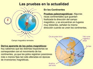 En los Continentes Pruebas paleomagnéticas :  Algunas  rocas continentales que guardan fosilizada la dirección del campo magnético, y se encuentran en lugares muy distantes, señalan la misma dirección cuando se unen los continentes.  Las pruebas en la actualidad Campo magnético terrestre Deriva aparente de los polos magnéticos : hoy sabemos que las distintas trayectorias se corresponden con el movimiento de los continentes, ya que los polos registran posiciones más o menos fijas tan sólo alteradas en épocas de inversiones magnéticas. 