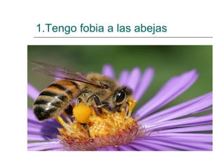 1.Tengo fobia a las abejas 