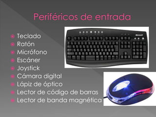  Teclado
 Ratón
 Micrófono
 Escáner
 Joystick
 Cámara digital
 Lápiz de óptico
 Lector de código de barras
 Lector de banda magnética
 
