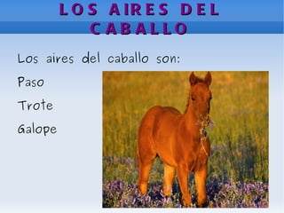 LOS AIRES DEL CABALLO Los aires del caballo son: Paso