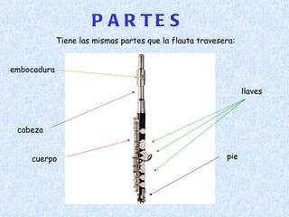 PARTES embocadura pie cabeza llaves cuerpo Tiene las mismas partes que la flauta travesera: 