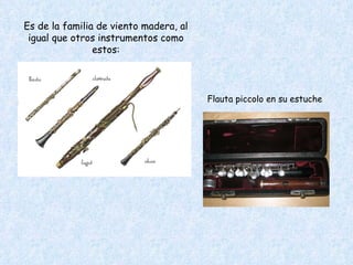 Es de la familia de viento madera, al igual que otros instrumentos como estos: Flauta piccolo en su estuche 