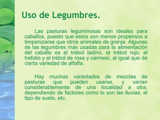 Uso de Legumbres. Las pasturas leguminosas son ideales para caballos, puesto que estos son menos propensos a timpanizarse que otros animales de granja. Algunas de las legumbres más usadas para la alimentación del caballo es el trébol ladino, el trébol rojo, el trefolio y el trébol de rosa y carmesí, al igual que de cierta variedad de alfalfa.  Hay muchas variedades de mezclas de pasturas que pueden usarse, y varían considerablemente de una localidad a otra, dependiendo de factores como lo son las lluvias, el tipo de suelo, etc. 
