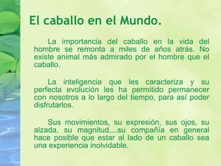 El caballo en el Mundo. La importancia del caballo en la vida del hombre se remonta a miles de años atrás. No existe animal más admirado por el hombre que el caballo. La inteligencia que les caracteriza y su perfecta evolución les ha permitido permanecer con nosotros a lo largo del tiempo, para así poder disfrutarlos. Sus movimientos, su expresión, sus ojos, su alzada, su magnitud,...su compañía en general hace posible que estar al lado de un caballo sea una experiencia inolvidable. 