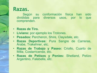 Razas. Según su conformación física han sido divididas para diversos usos, por lo que comprenden.  Razas de Tiro. Liviano:  por ejemplo los Trotones. Pesados:  Percheron, Shire, Claysdale, etc. Razas Deportivas:  Pura Sangre de Carreras, Árabe, Trakehner, etc.   Razas de Trabajo y Paseo:  Criollo, Cuarto de Milla, Costarricense, etc.   Razas de Petisos y Ponies:  Shetland, Petizo Argentino, Falabella, etc. 