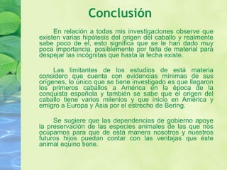 Conclusión   En relación a todas mis investigaciones observe que existen varias hipótesis del origen del caballo y realmente sabe poco de el, esto significa que se le han dado muy poca importancia, posiblemente por falta de material para despejar las incógnitas que hasta la fecha existe. Las limitantes de los estudios de está materia considero que cuenta con evidencias mínimas de sus orígenes, lo único que se tiene investigado es que llegaron los primeros caballos a América en la época de la conquista española y también se sabe que el origen del caballo tiene varios milenios y que inicio en América y emigro a Europa y Asia por el estrecho de Bering. Se sugiere que las dependencias de gobierno apoye la preservación de las especies animales de las que nos ocupamos para que de está manera nosotros y nuestros futuros hijos puedan contar con las ventajas que éste animal equino tiene. 