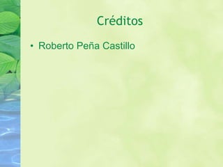 Créditos Roberto Peña Castillo 