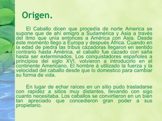 Origen. El Caballo dicen que procedía de norte America se supone que de ahí emigro a Sudamérica y Asia a través del itmo que unía entonces a América con Asia. Desde éste momento llego a Europa y después África. Cuando en la edad de piedra las tribus cazadoras llegaron en sentido contrario hasta América, el caballo fue cazado con saña hasta ser exterminados. Los conquistadores españoles a principios del siglo XVI, volvieron a introducirlo en el continente Americano. El hombre á utilizado la fuerza y la velocidad del caballo desde que lo domestico para cambiar su forma de vida. En lugar de echar raíces en un sitio pudo trasladarse con rapidez a sitios muy distantes, llevando con sigo cuanto necesitaba. Los caballos se convirtieron en un bien tan apreciado que concedieron gran poder a sus propietario. 