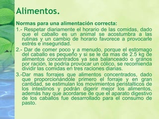 Alimentos. Normas para una alimentación correcta: 1.- Respetar diariamente el horario de las comidas, dado que el caballo es un animal se acostumbra a las rutinas y un cambio de horario favorece a provocarle estrés e inseguridad.  2.- Dar de comer poco y a menudo, porque el estomago del caballo es pequeño y si se le da mas de 2.5 kg de alimentos concentrados ya sea balanceado o granos por ración, le podría provocar un cólico, se recomienda dividir las comidas en tres raciones diarias.  3.-Dar mas forrajes que alimentos concentrados, dado que proporcionándole primero el forraje y en gran cantidad, se estimulan los movimientos peristalticos de los intestinos y podrán digerir mejor los alimentos, además hay que acordarse de que el aparato digestivo de los caballos fue desarrollado para el consumo de pasto. 