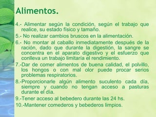 4.- Alimentar según la condición, según el trabajo que realice, su estado físico y tamaño.  5.- No realizar cambios bruscos en la alimentación.  6.- No montar al caballo inmediatamente después de la ración, dado que durante la digestión, la sangre se concentra en el aparato digestivo y el esfuerzo que conlleva un trabajo limitaría el rendimiento.  7.-Dar de comer alimentos de buena calidad, el polvillo, los hongos o con mal olor puede procar serios problemas respiratorios.  8.-Proporcionarle algún alimento suculento cada día, siempre y cuando no tengan acceso a pasturas durante el día.  9.-Tener acceso al bebedero durante las 24 hs.  10.-Mantener comederos y bebederos limpios. Alimentos. 