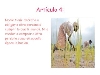 Artículo 1: Significa que todos tenemos derechos a decir lo que pensamos o dejamos de pensar. Y hacer con nuestra vida lo que queramos y no ser esclavo de nadie. 
