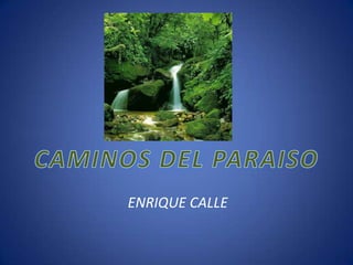 CAMINOS DEL PARAISO ENRIQUE CALLE 