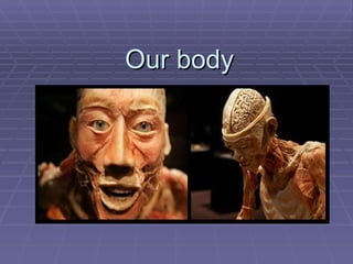 Our body 