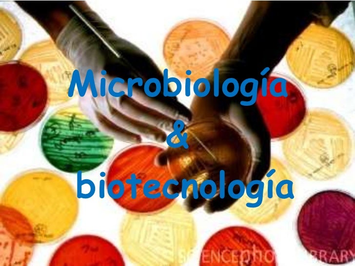 Resultado de imagen de MICROBIOLOGIA Y BIOTECNOLOGIA