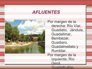AFLUENTES
    Por margen de la
      derecha: Río Viar,
      Guadiato, Jándula,
      Guadalimar,
      Bembézar,
      Guadiaro,
      Guadalmellato y
      Rumblar.
    Por margen de la
      izquierda: Río
      Genil,
      Guadalbullón,
 