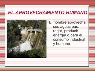 EL APROVECHAMIENTO HUMANO
            El hombre aprovecha
               sus aguas para
               regar, producir
               energía o para el
               consumo industrial
               y humano
 