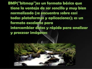 BMP("bitmap")es un formato básico que
 tiene la ventaja de ser sencillo y muy bien
 normalizado (se encuentra sobre casi
 todas plataformas y aplicaciones); es un
 formato excelente para
 intercambiar datos y rápido para analizar
 y procesar imágenes
 
