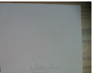 DIIBUJOS DEL GRUPO DE NIÑO